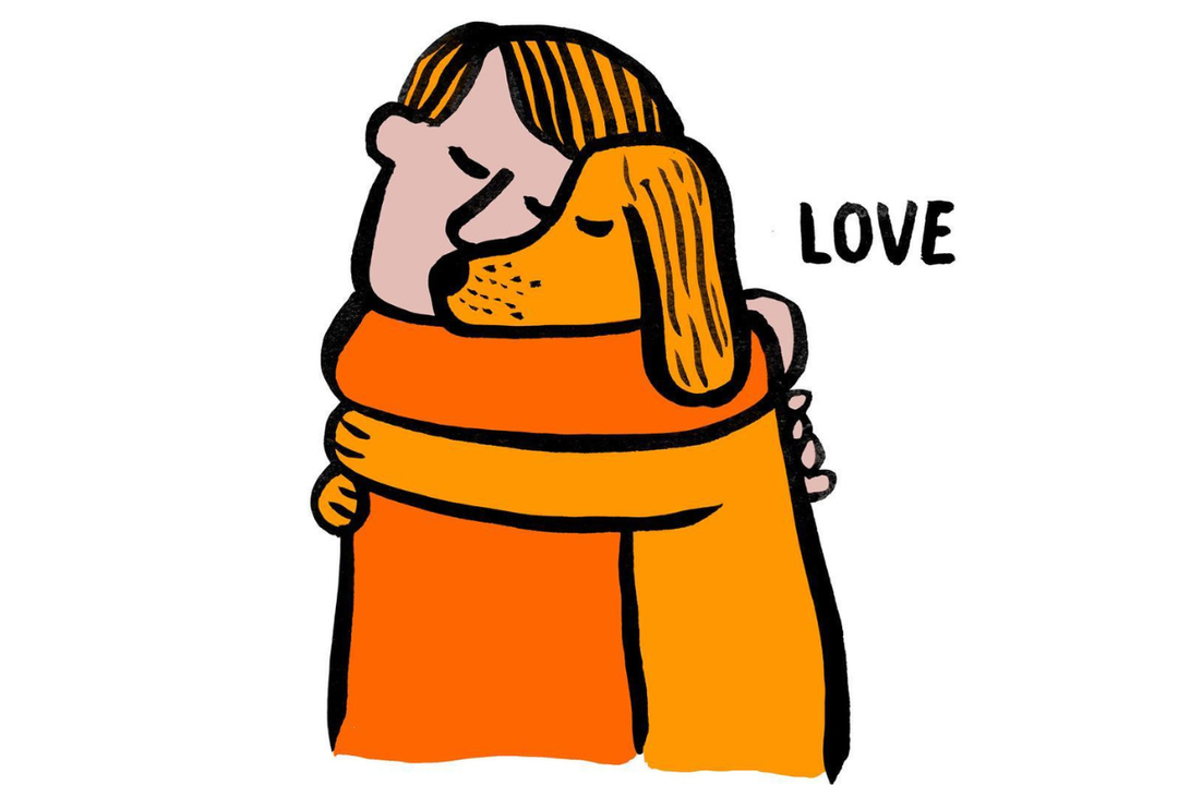 Dicas para adotar um cão de resgate: Opinião de Sandra Vicente, Diretora da UPPA