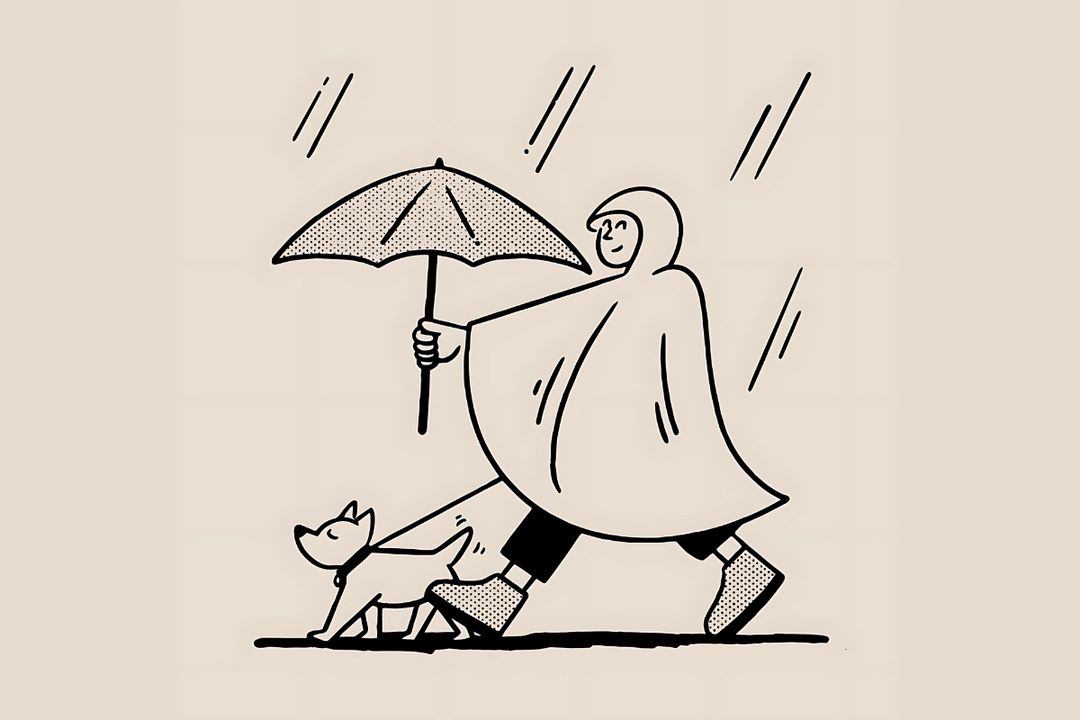 Manter o seu cão seguro e feliz no inverno - Um guia prático