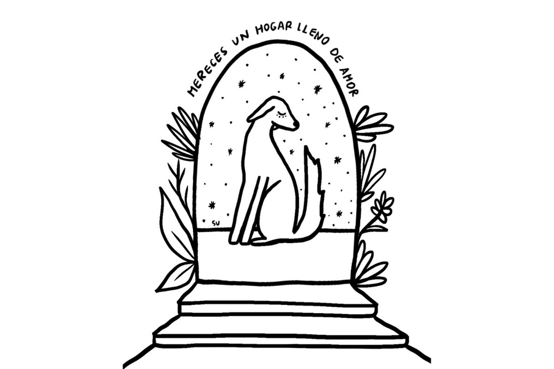 Como pode ajudar os abrigos para cães no inverno?