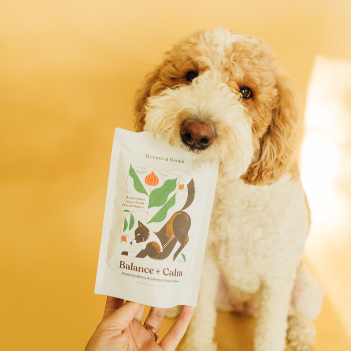 Botanical Bones - BALANCE + CALM Treats package held by hand with a calm dog in the background.