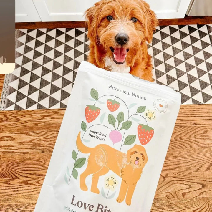 Dog holding a bag of Botanical Bones - LOVE BITES Treats crunchy peanut butter superfood dog cookies.