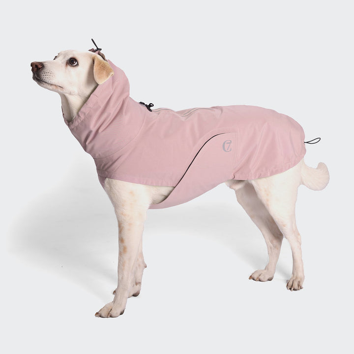 Cão com uma gabardina Cloud7 Dublin Dog cor-de-rosa com capuz, concebida para resistir à água e ser ajustável.
