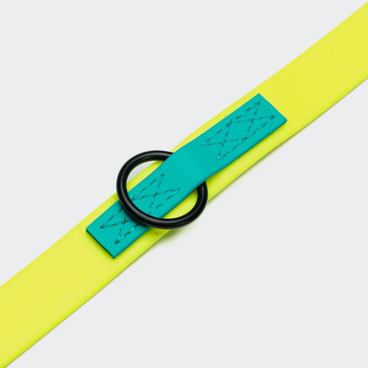 Cloud7 - IPANEMA Adjustable Dog Leash BioThane in neon yellow and aqua with matte black hardware detail.