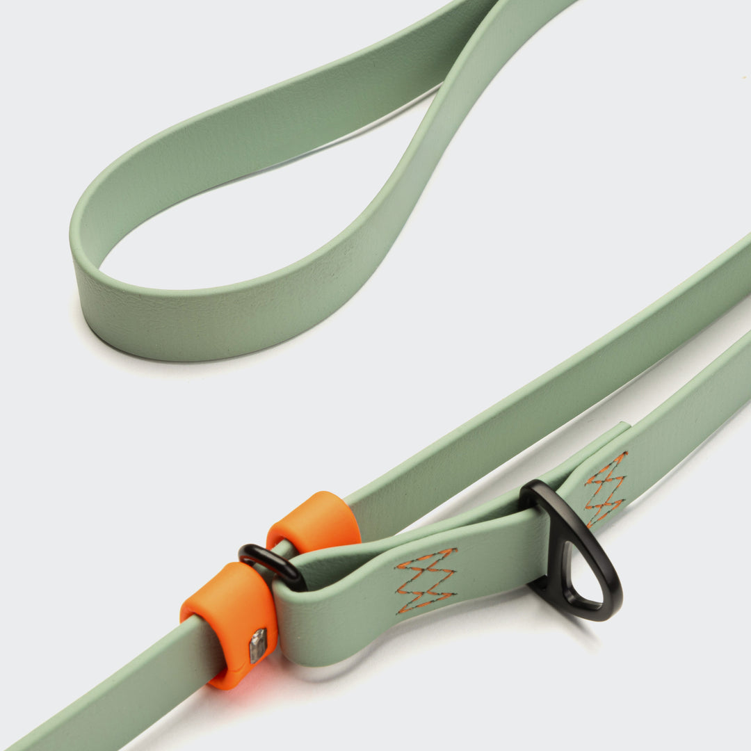 Cloud7 - IPANEMA Adjustable Dog Leash BioThane