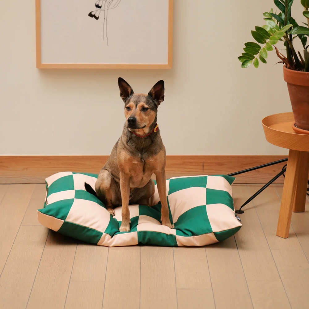 Eco-friendly recycled canvas dog bed in green and beige for durable comfort and style, supporting dog wellbeing, Fritz - Bed GRANDE.