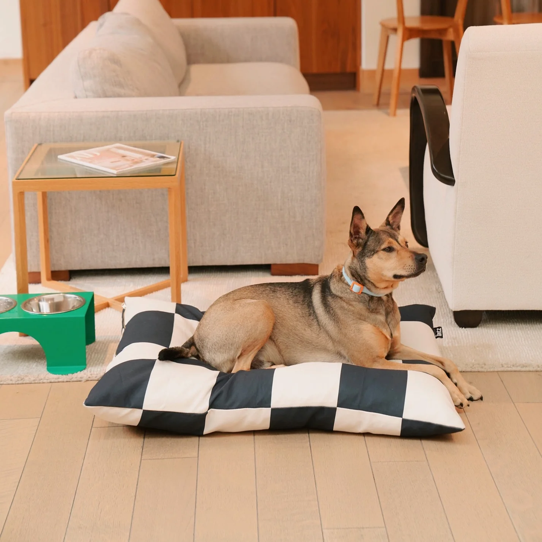 Large durable recycled checkerboard dog bed for comfort and style, eco-friendly design for wellbeing, Fritz - Bed GRANDE