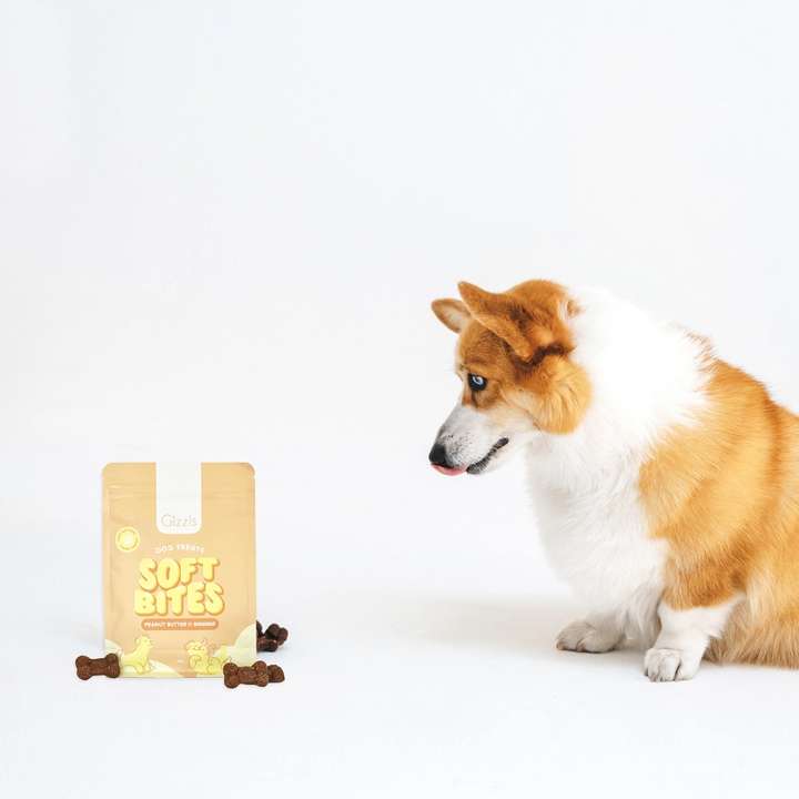 snacks para cães com manteiga de amendoim e banana em bolsa bege para treino e bem-estar da Gizzls - SOFT BITES