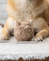 Lambwolf - FOX POP plush fox toy with squeaky ball and crinkly tail for interactive play, soft faux fur by Lambwolf Collective.