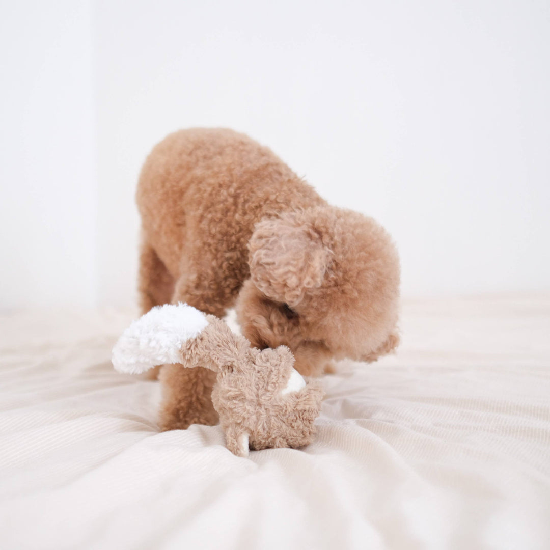 Plush fox toy with squeaky ball and crinkle tail in beige faux fur for interactive play by Lambwolf Collective FOX POP