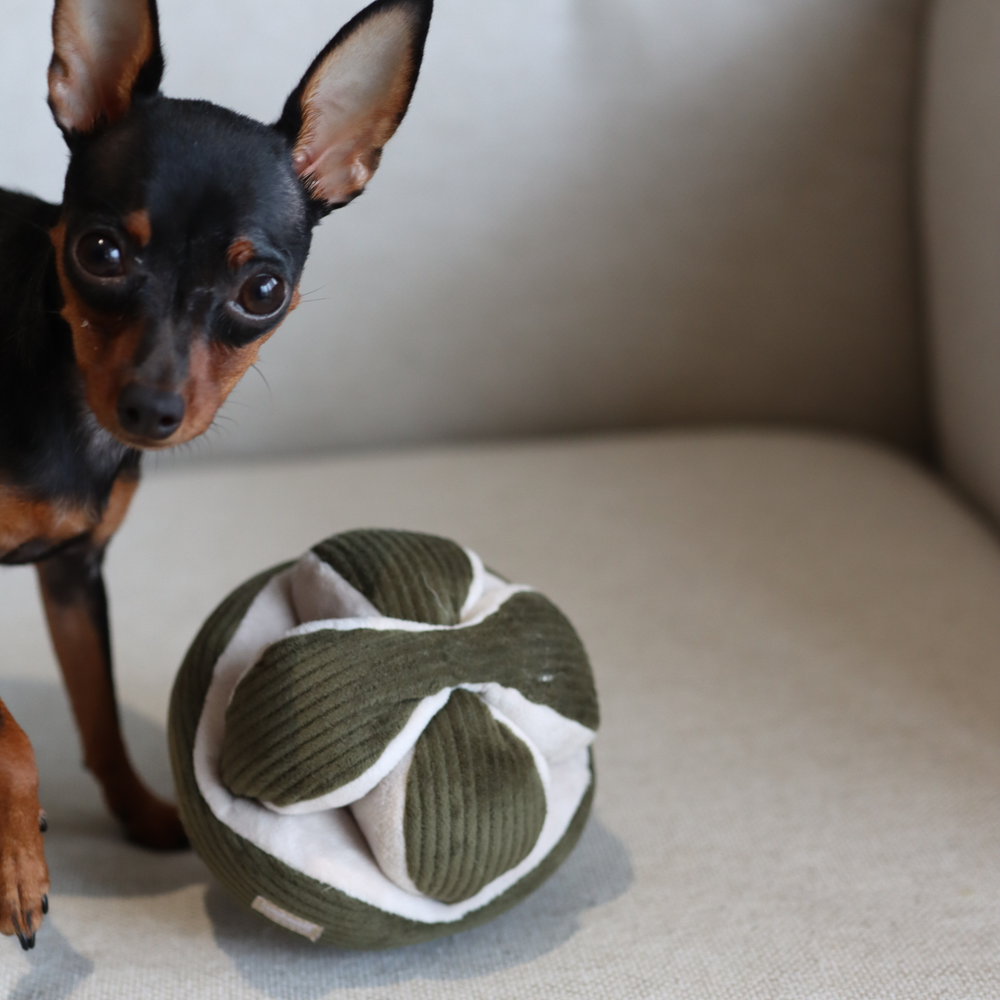 Interactive green and white crinkly snuffle toy for dogs enhancing nose work by Lambwolf Collective - Lambwolf - MONTI Crinkly + Squeak Snuffle Toy