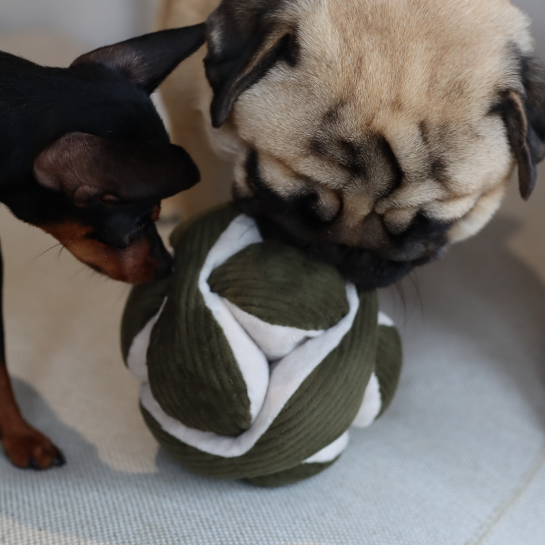 Green crinkly and squeak snuffle toy ball made of natural materials for dog mental stimulation by Lambwolf Collective MONTI.