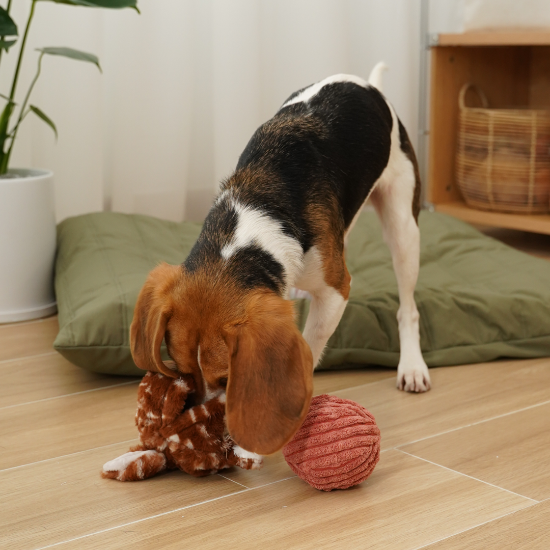 Durable corduroy and plush POP Fawn Squeaky + Bouncy Toy for interactive play and chewing by Lambwolf Collective