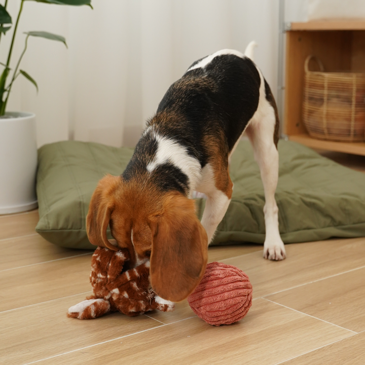 Durable corduroy and plush POP Fawn Squeaky + Bouncy Toy for interactive play and chewing by Lambwolf Collective