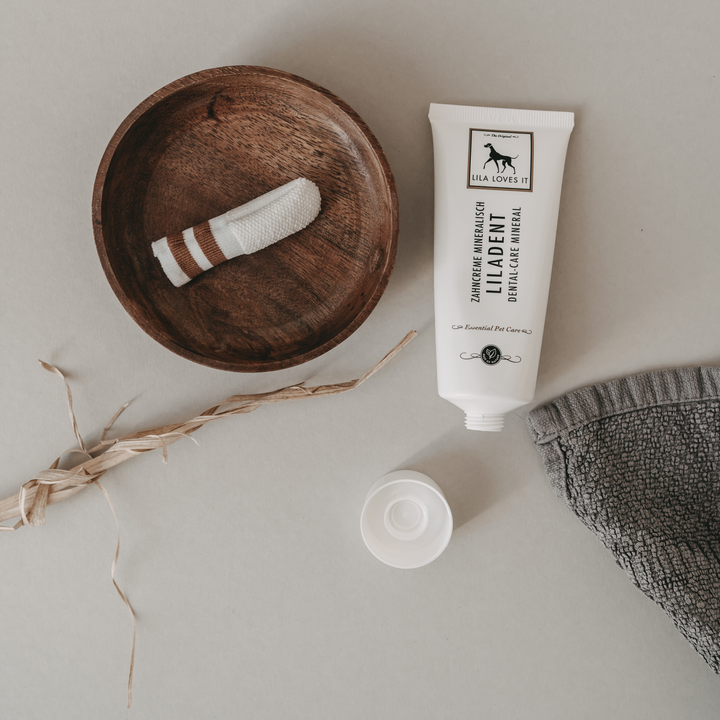 Lila Loves It Dental Care Set with natural toothpaste and soft microfiber for effective dog oral hygiene by Lila Loves It