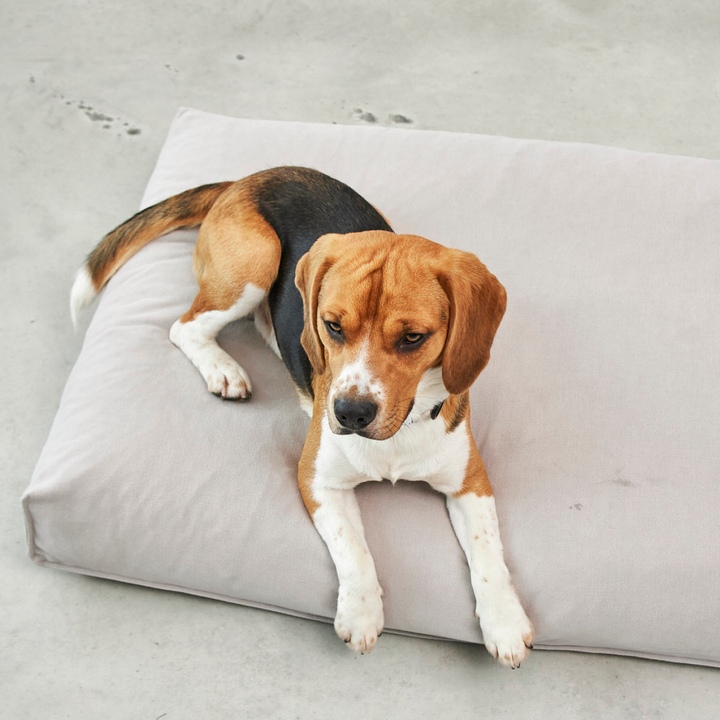 MiaCara COMODO dog cushion in muted beige with structured surface offers comfortable resting and head support for dogs.
