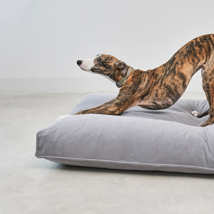 MiaCara COMODO dog cushion in soft grey fabric with structured surface and raised edge for comfort and support