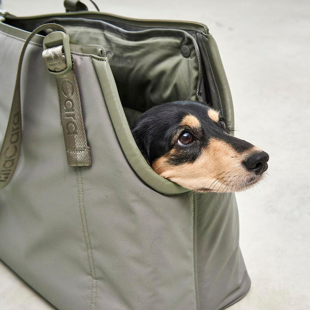 Softly padded olive green dog carrier bag for secure, comfortable travel with adjustable straps and inner belt by Miacara Miacara - SPORTA Dog Carrier Bag