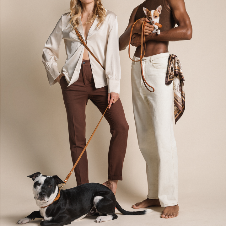 3x Trela ajustável CITY em pele amanteigada para passeios e corridas na cidade, oferecendo conforto e estilo da Molly & Stitch