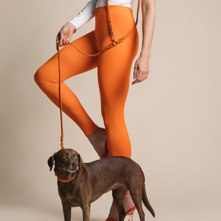 Trela CITY em pele macia ajustável 3x em castanho para passeios seguros na cidade e estilo, melhorando o bem-estar do cão por Molly&Stitch