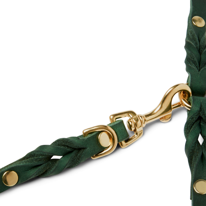 Trela de cidade em pele verde manteiga ajustável 3x com clipe dourado para passeios confortáveis do cão por Molly&Stitch