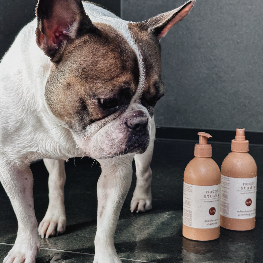 Refreshing 3-in-1 eco-friendly grooming spray for detangling and freshening dog fur, natural formula by NoCat Studio LUFT.
