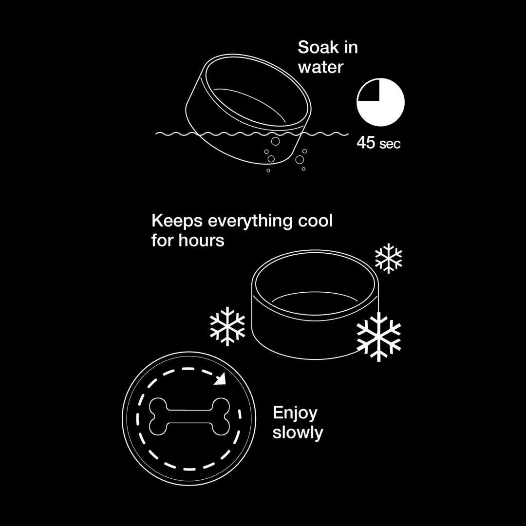 A tigela de alimentação lenta Paikka, feita de cerâmica auto-arrefecida, absorve a água para manter os alimentos frescos e frescos durante mais tempo para o bem-estar do cão.