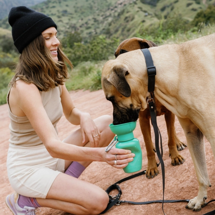 Springer FLIP eco-friendly green silicone dog travel water bottle for outdoor hydration and minimal water waste