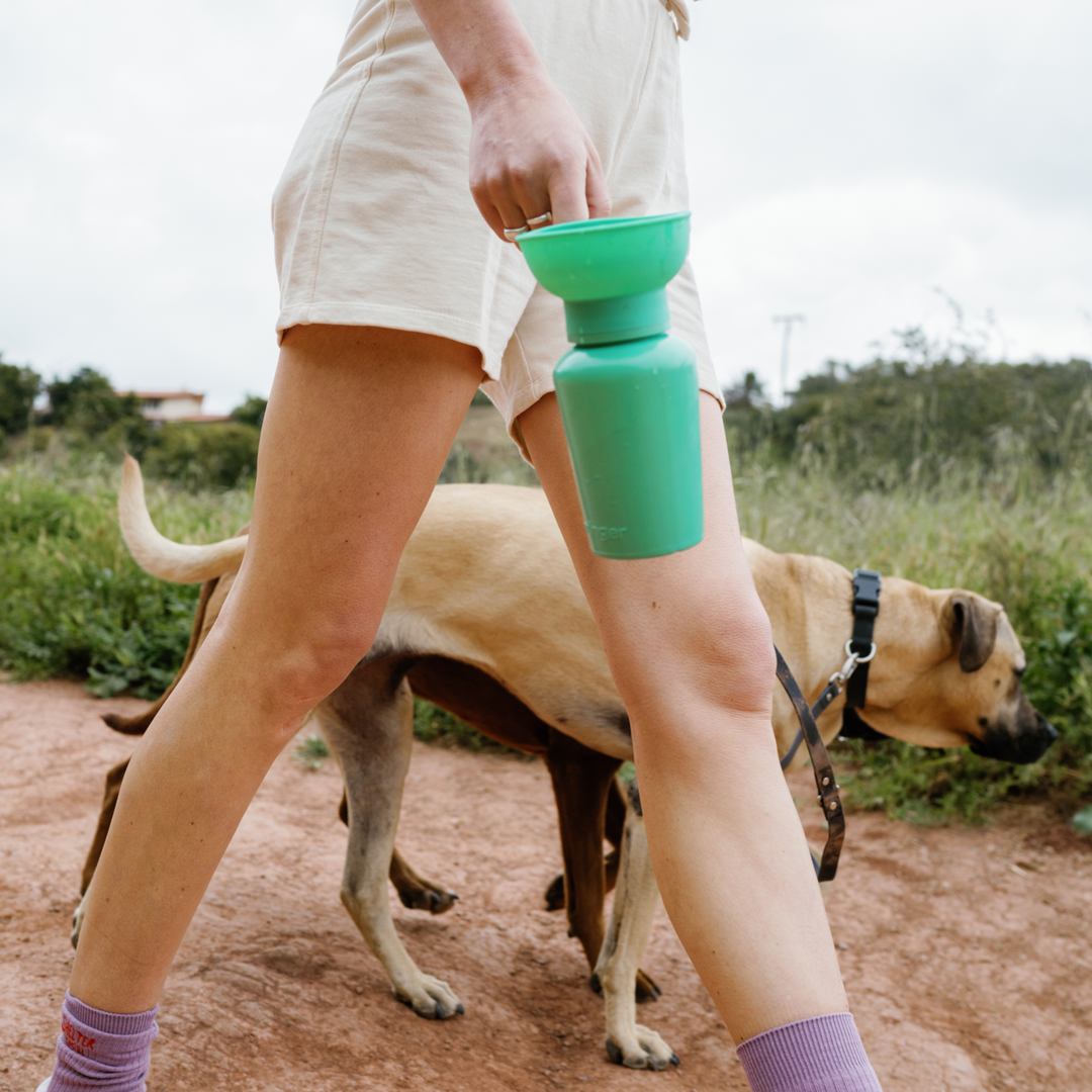 Springer FLIP Dog Travel Water Bottle in green with silicone bowl for eco-friendly hydration on outdoor dog walks.