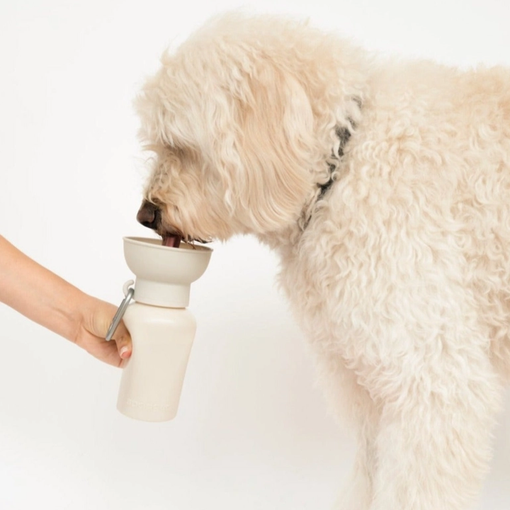 Springer FLIP eco-friendly beige travel dog water bottle with integrated silicone bowl for hydration on the go