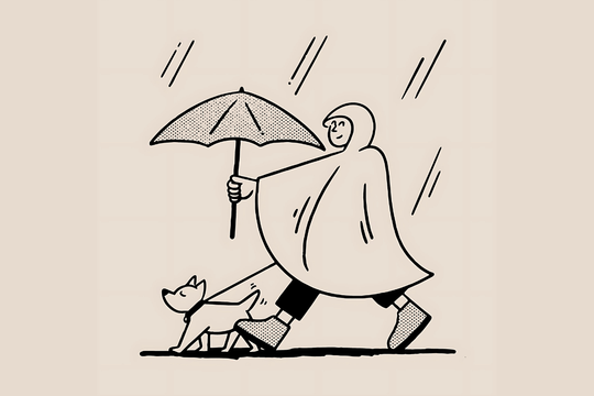 Manter o seu cão seguro e feliz no inverno - Um guia prático