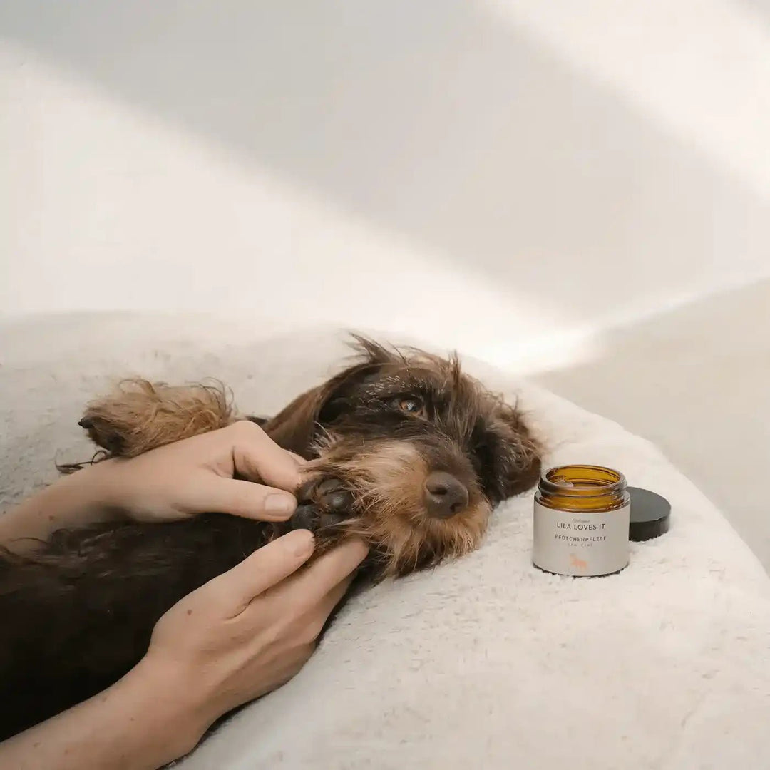 Care Collection - OhMyDog&Co