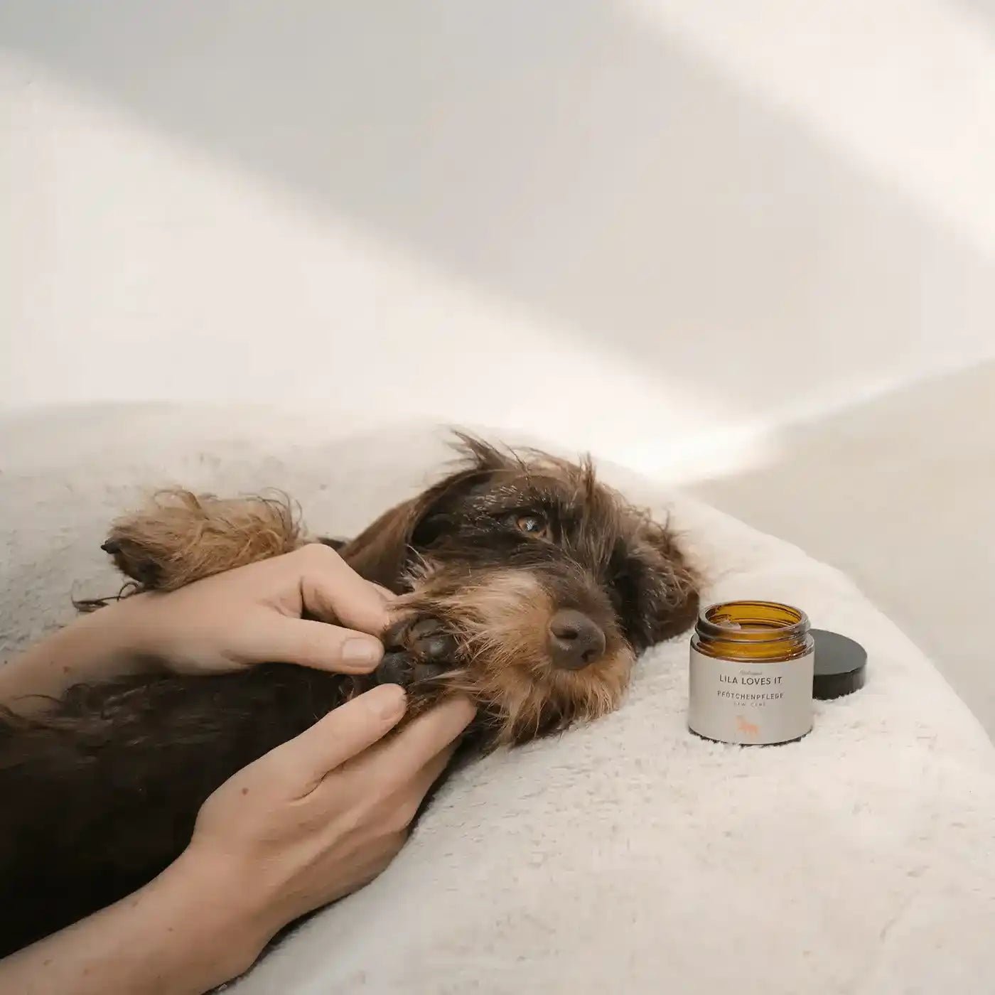 Care Collection - OhMyDog&Co