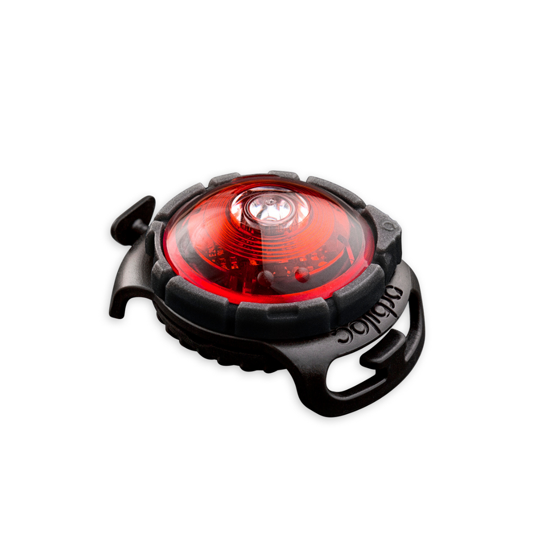 Orbiloc Dog Dual LED Safety Light