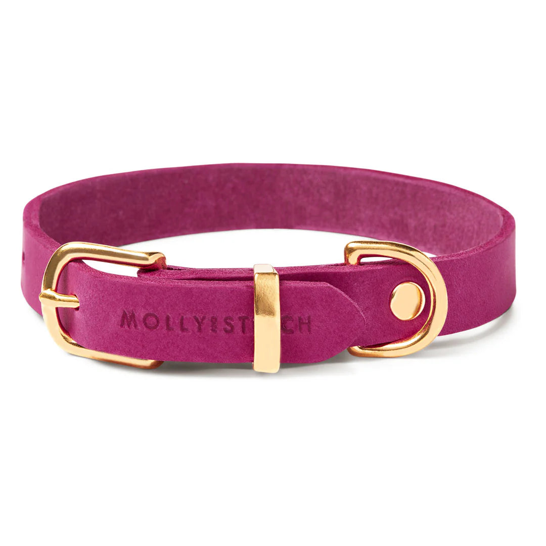Molly&Stitch - CITY Collar