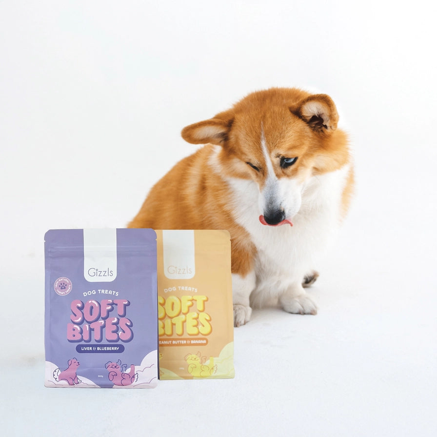 Gizzls - SOFT BITES Biscoitos de fígado e mirtilo para cães