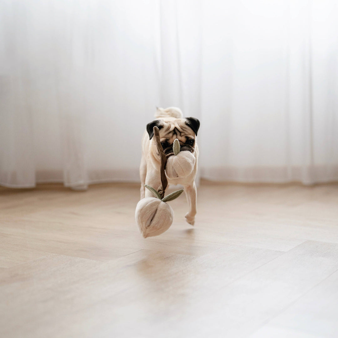 Lambwolf - MOMO - Enrichment Dog Toy
