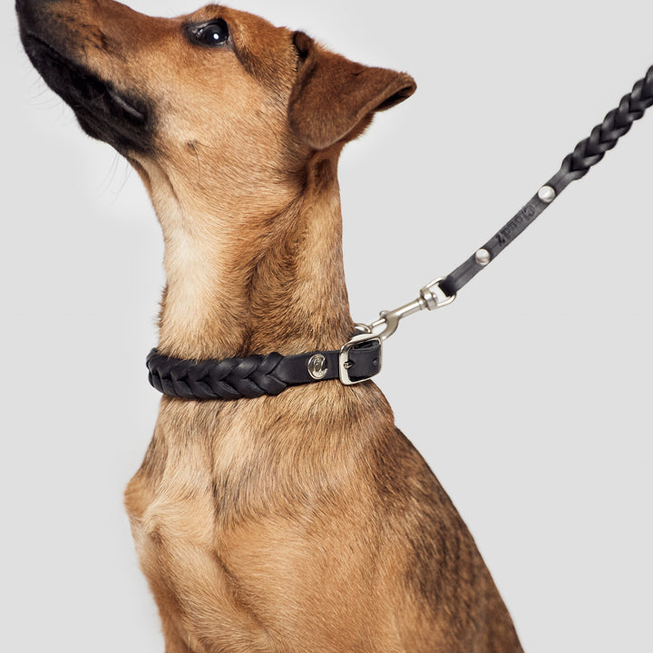 Cloud7 - CENTRAL PARK Leather Leash