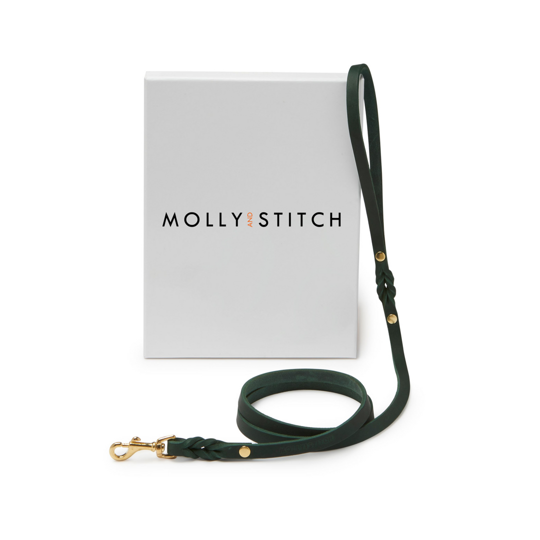 Molly&Stitch - CITY Leash