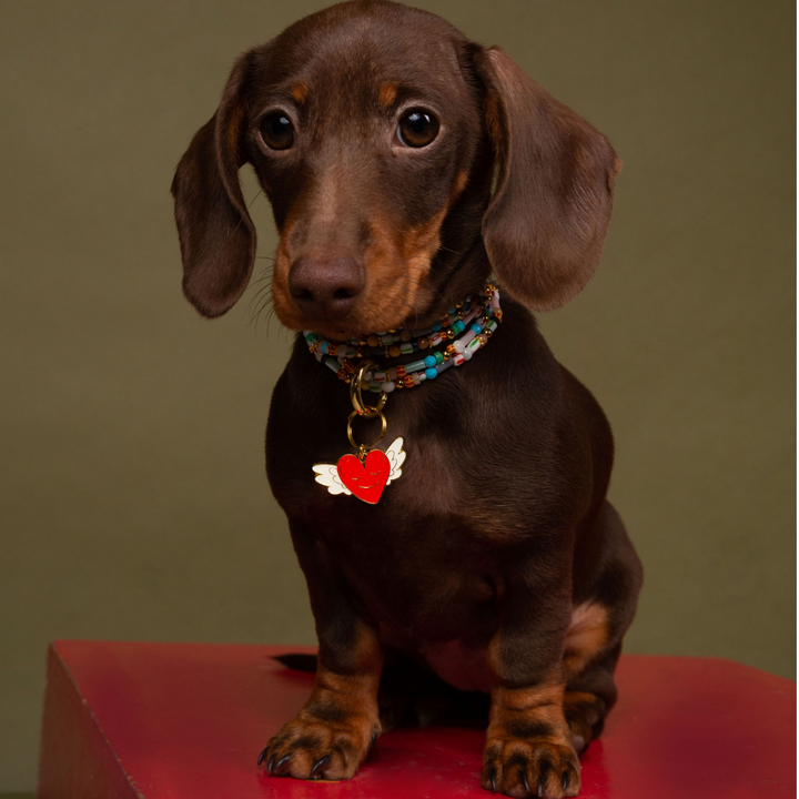 Brooch - Personalised LOVE Dog Tag