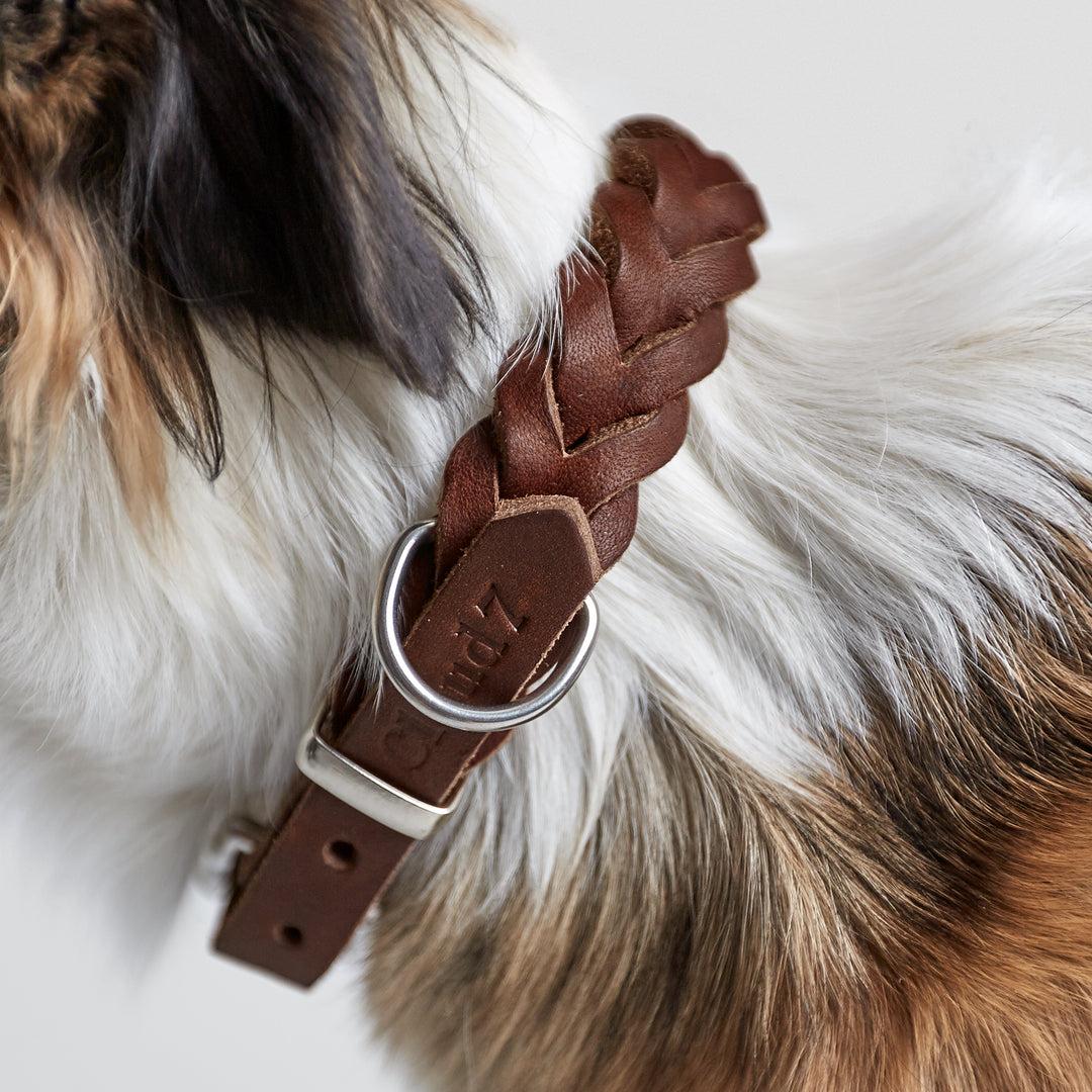 Cloud7 - CENTRAL PARK Leather Collar