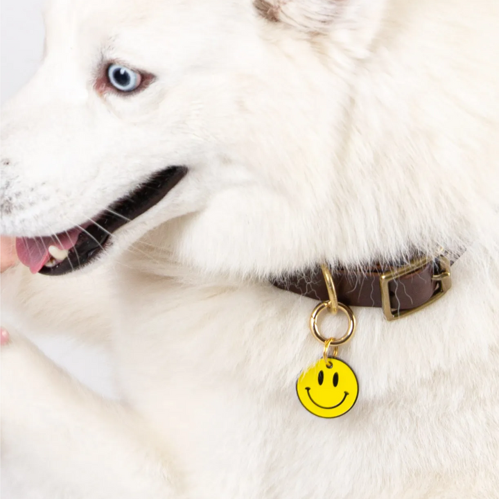 Brooch - Personalised YELLOW SMILEY Dog Tag