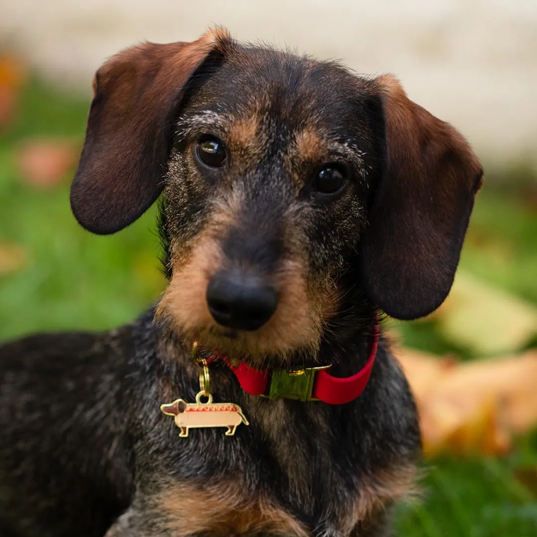 Brooch - Personalised HOT DOG Dog Tag