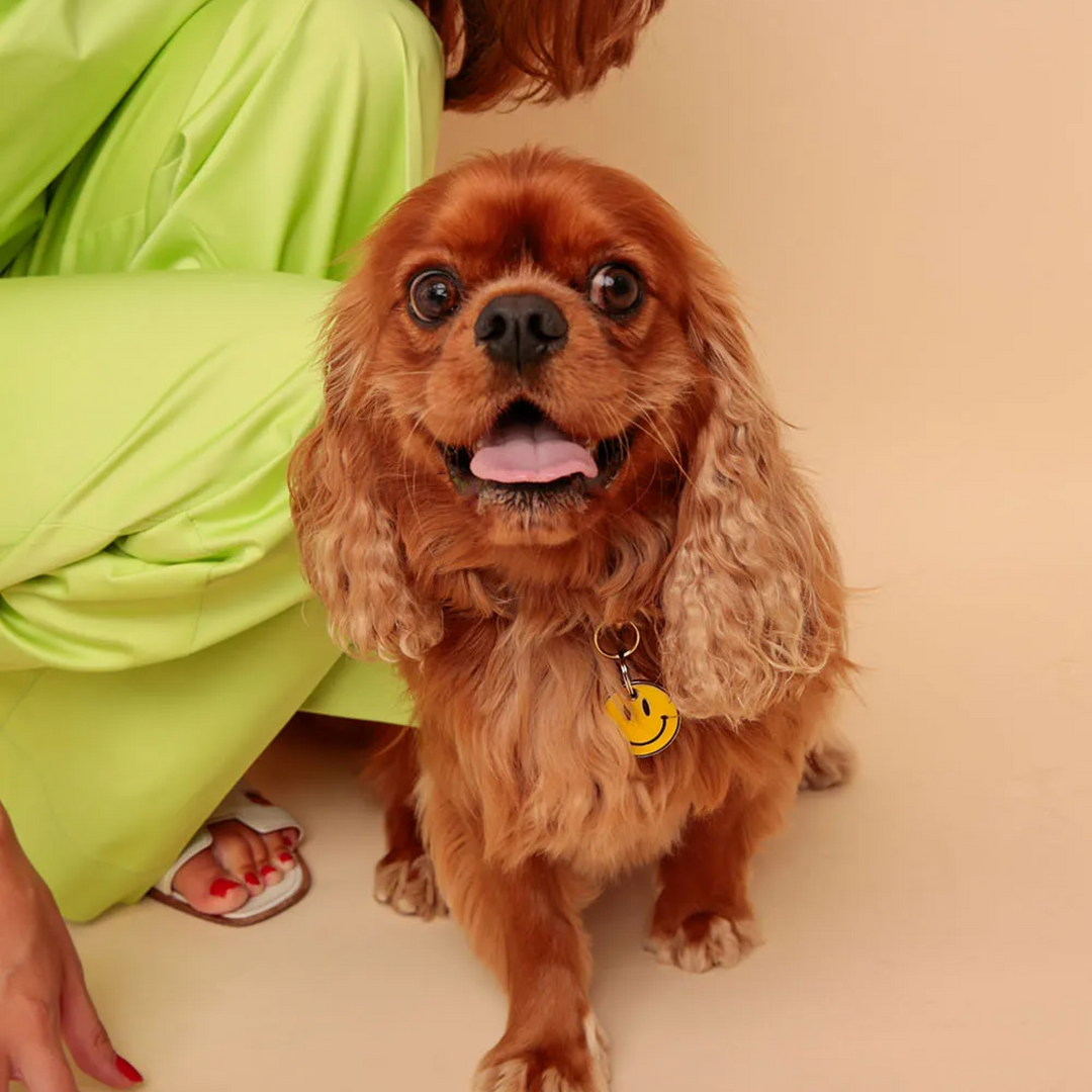 Brooch - Personalised YELLOW SMILEY Dog Tag