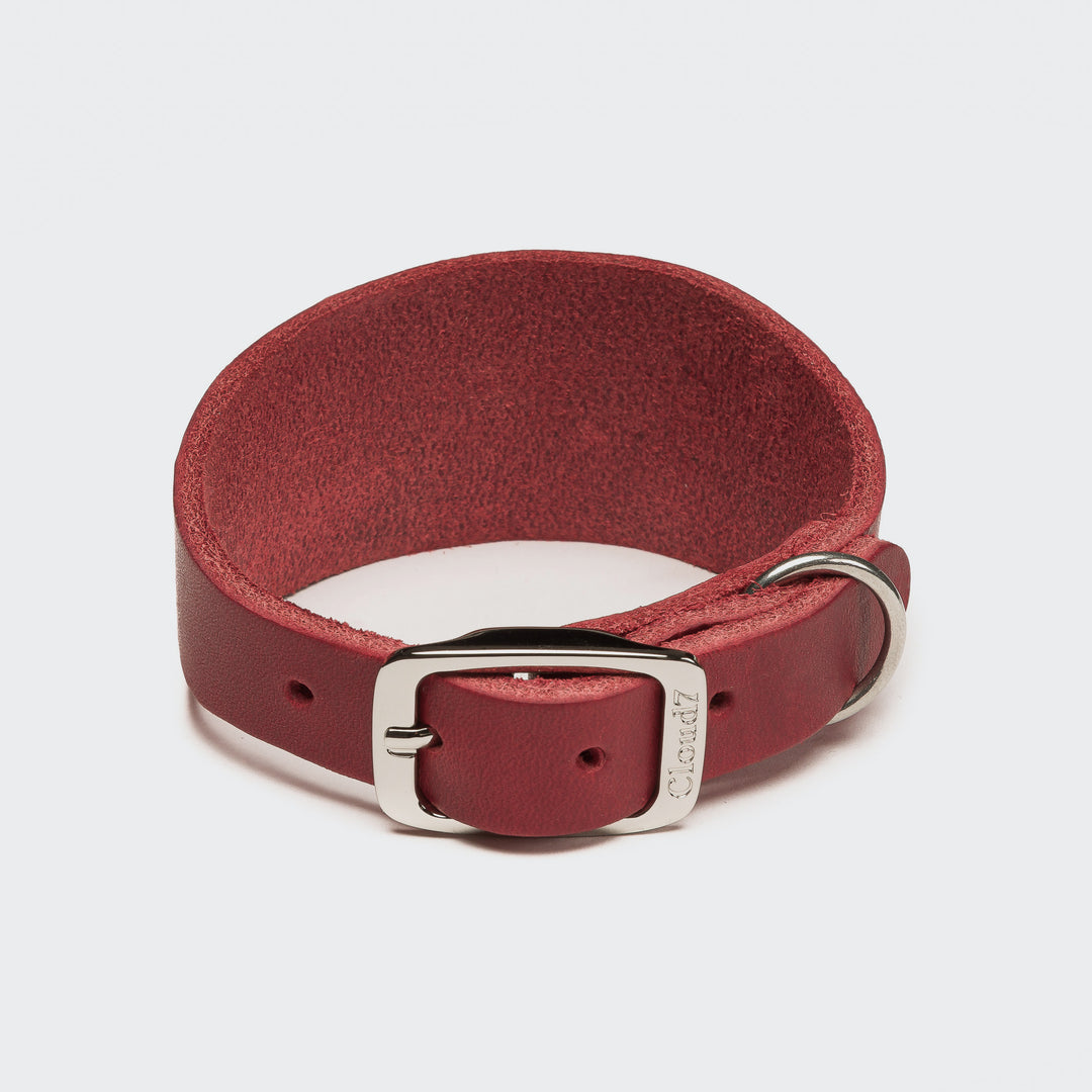 Cloud7 - REGENT PARK Whippet & Greyhound Collar