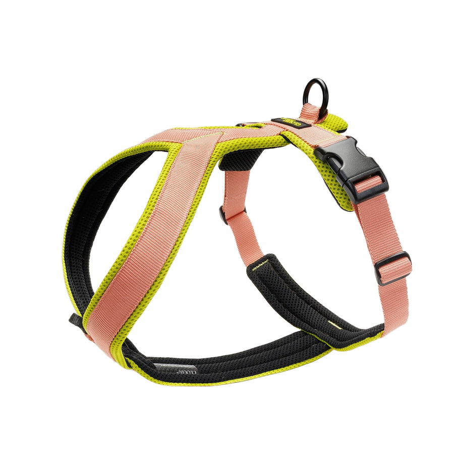 Cloud7 - Y - 1 AKTIV Harness - Peach - OhMyDog&Co