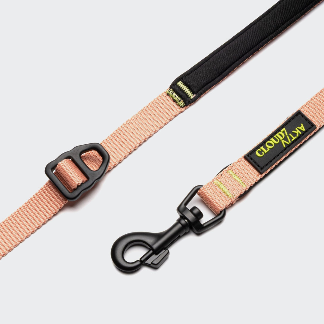 Cloud7 - L - 1 AKTIV Hands Free Leash - S - OhMyDog&Co