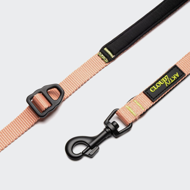 Cloud7 - L - 1 AKTIV Hands Free Leash - S - OhMyDog&Co