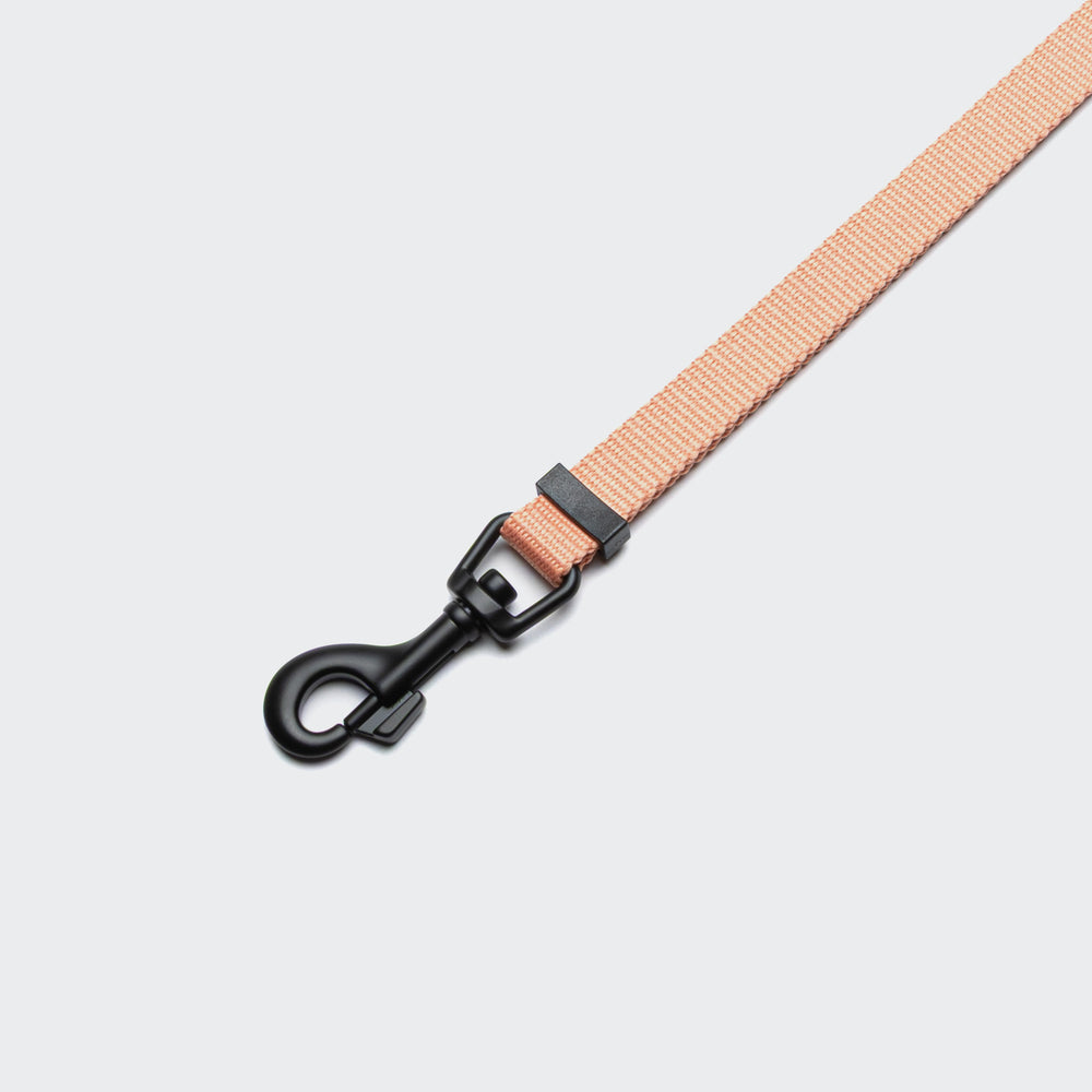 Cloud7 - L - 1 AKTIV Hands Free Leash - S - OhMyDog&Co