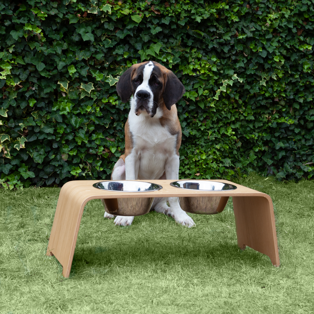 dogBar® - Raised Feeding Station