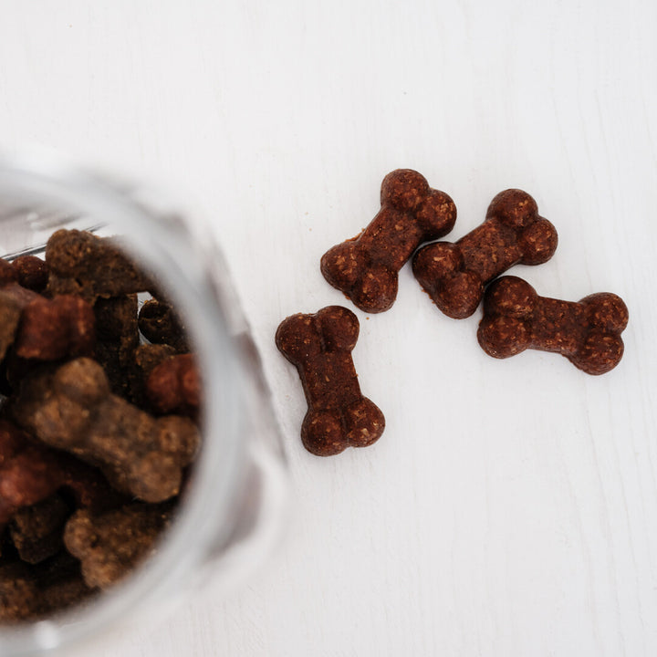 Gizzls - SOFT BITES Biscoitos de manteiga de amendoim e banana para cães